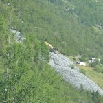 Frana sulla statale dello Stelvio - Agosto 2015